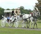 White carriage drawn by two white horses