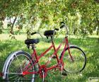 Tandem of two cyclists