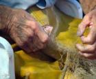 Hands of fisherman