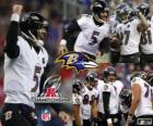 Baltimore Ravens the 2012 AFC champion