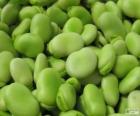 Broad beans