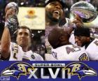 Baltimore Ravens Super Bowl 2013 Champions