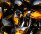 Steamed Mussels