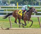 Horse race. Thoroughbred horse with the jockey