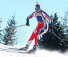 Skier in full effort in the practice of cross-country skiing or Nordic skiing