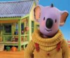 Buster is one of the koala brothers living  fun adventures in the Australian desert, The  Koala Brothers
