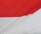 Flag of Indonesia, consisting of two strips of equal size, the upper is red and the lower white