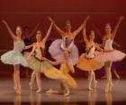 Ballet show