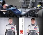 Sauber F1 Team 2013