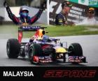 Sebastian Vettel celebrates his victory in the Grand Prix of Malaysia 2013