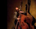 Musician playing the double bass or contrabass