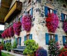 House in the spring with flowers in the windows