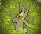 The beautiful  bear Cindy is the girlfriend of Yogi Bear