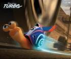 Turbo, the fastest snail of the world