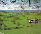 Countryside of Devon, Great Britain