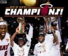 Miami Heat 2013 NBA Champions