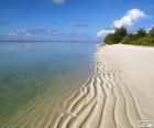 Beach in the Maldives