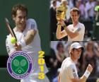 Andy Murray champion Wimbledon 2013