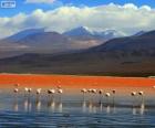 Laguna Colorada, Bolivia