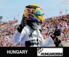 Lewis Hamilton celebrates his victory in the Hungarian Grand Prix 2013