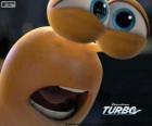 The face of Turbo