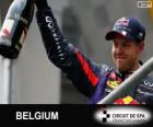 Sebastian Vettel celebrates his victory in the Grand Prix of Belgium 2013