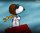 Snoopy pilot