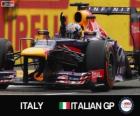 Sebastian Vettel celebrates his victory in the Italian Grand Prix 2013