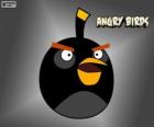 Bird black video game Angry Birds