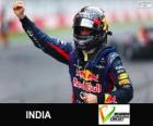 Sebastian Vettel celebrates his win in the 2013 Indian Grand Prix