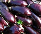 Several Eggplant