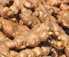 Ginger or ginger root