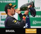 Mark Webber - Red Bull - 2013 Brazilian Grand Prix, 2º classified