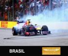 Sebastian Vettel celebrates his victory in the Grand Prix of Brazil 2013