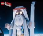 Vitruvius, the old sorcerer of the film, the great Lego adventure
