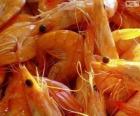 Salted shrimp