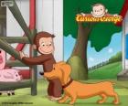 The monkey George and Hundley sausage dog