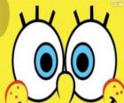 The eyes of SpongeBob