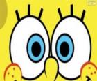 The eyes of SpongeBob