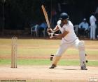 Cricketer ready to hit the ball