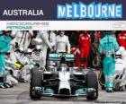 Nico Rosberg celebrates his victory in the 2014 Australian Grand Prix