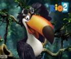 Rafael, the toucan