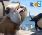 Luiz in the film Rio 2