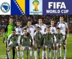 Selection of Bosnia and Herzegovina, Group F, Brazil 2014