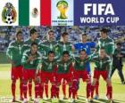 Selection of Mexico, Group A, Brazil 2014