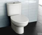 Flush toilet with close coupled cistern