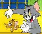 The Tom cat capture Jerry the mouse