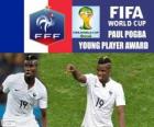 Paul Pogba, young player award. Brazil 2014 Football World Cup