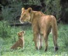 Lioness with her cub