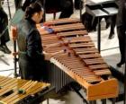 The vibraphone, vibraharp or vibes is a musical instrument in the struck idiophone subfamily of the percussion family